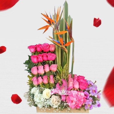 Arreglo Floral Con Rosas Para Amor Y Amistad A Domicilio En Cali 