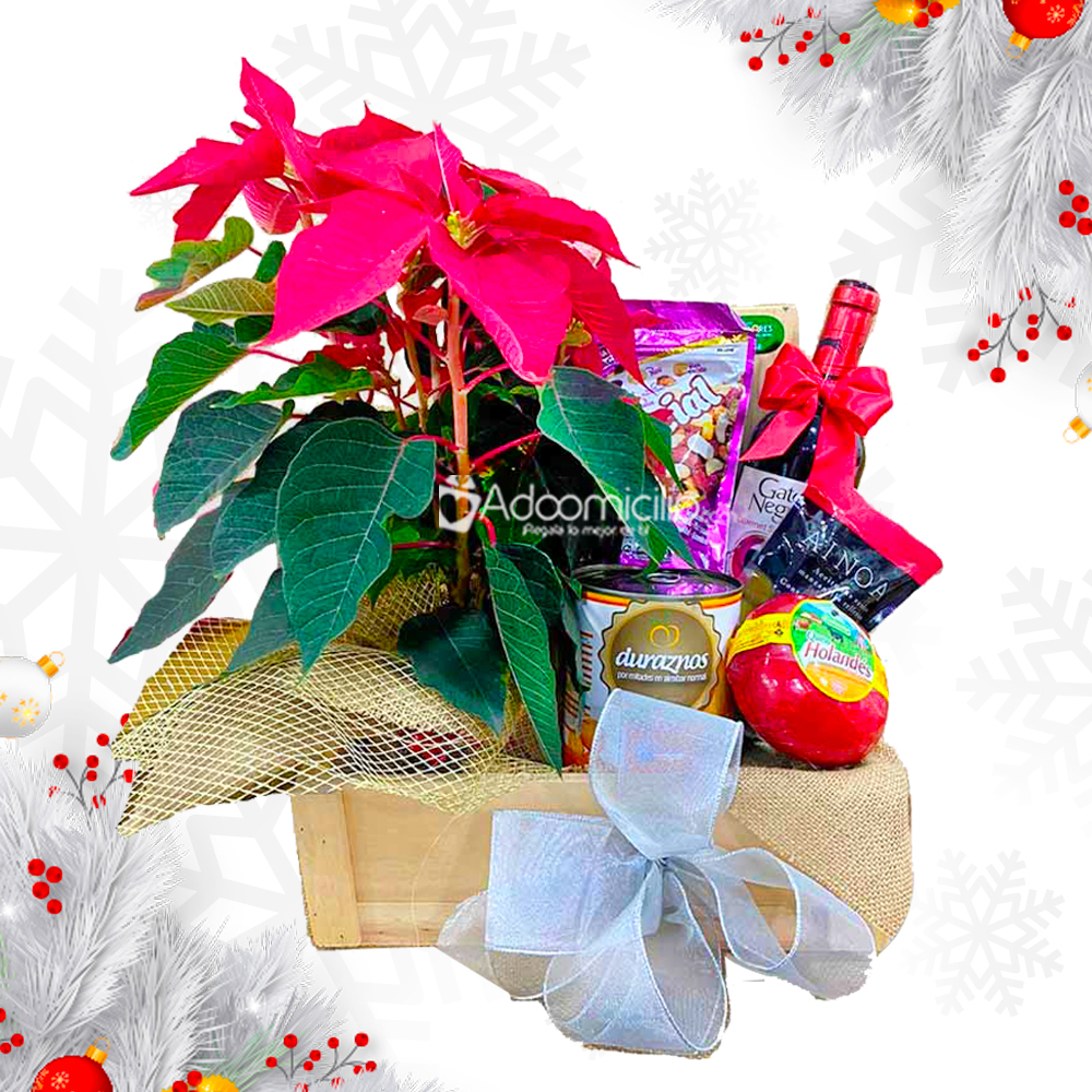 Ancheta Navideña Con Planta A Domicilio En Medellín Pedido Con Un Día De Anticipación 