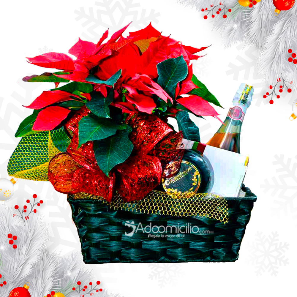 Ancheta Para Navidad Con Planta De Poncentia A Domicilio En Medellín Pedido Con Un Día De Anticipación 