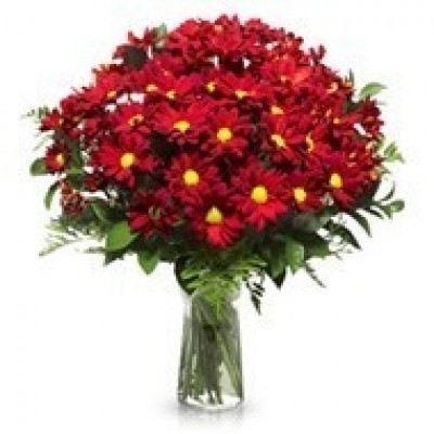 Florero Con Margaritas A Domicilio En Cali 