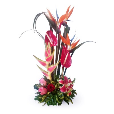 Arreglo Floral Exótico A Domicilio En Cali